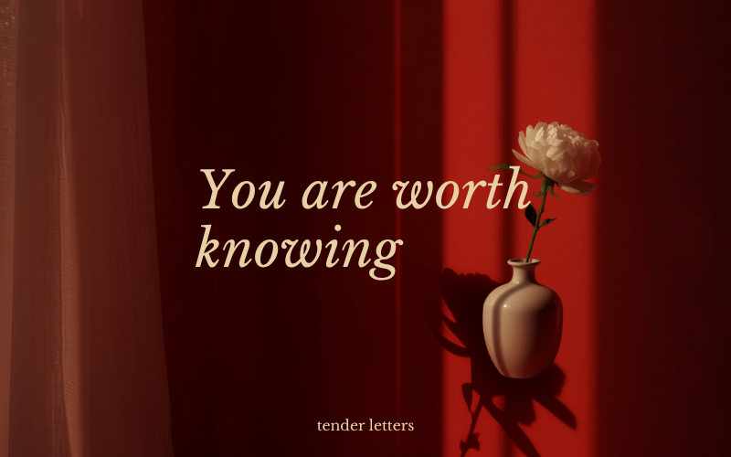 1 journal entry - you are worth knowing